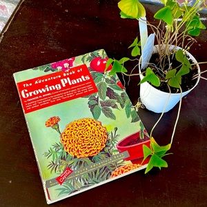 🍅 🌱 1959 Adventure Book of Growing Plants
